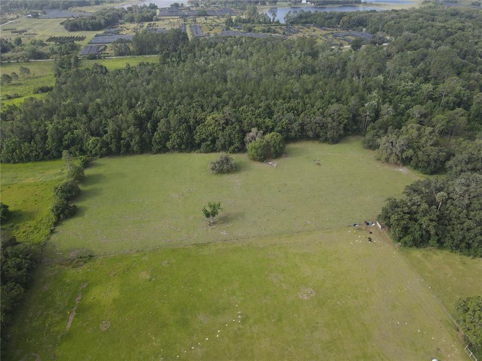 5-acre parcel at south end of property.