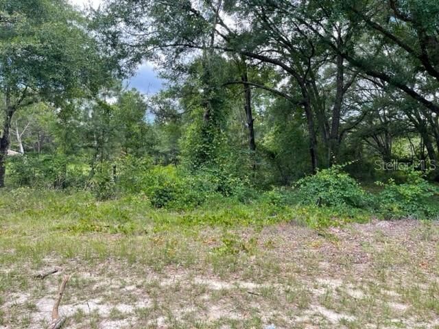 Recently Sold: $45,000 (0.82 acres)