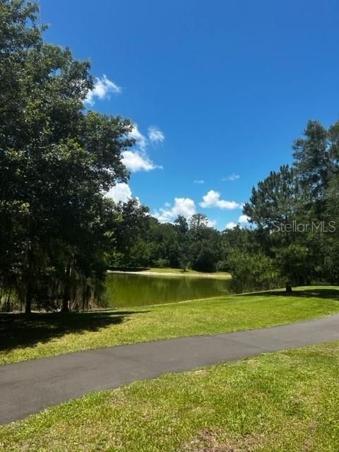 Ponds along Paved Trails