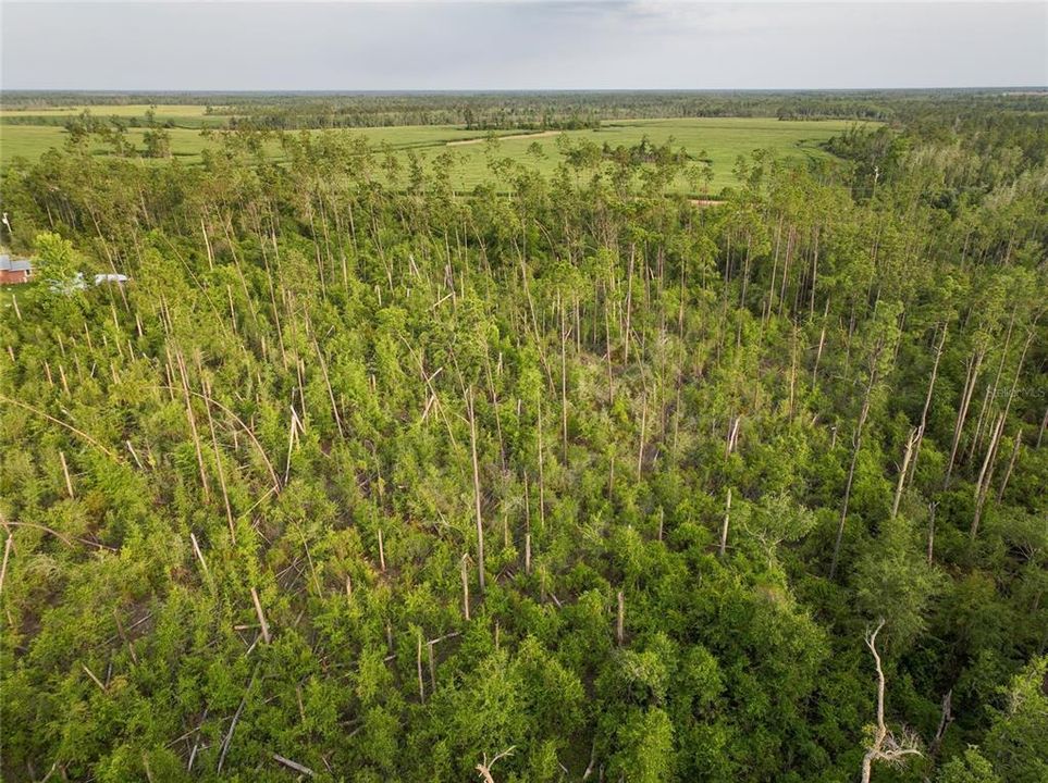 Недавно продано: $45,000 (8.00 acres)