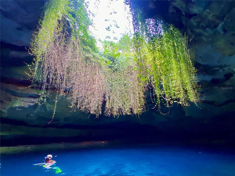 Devil's Den Spring