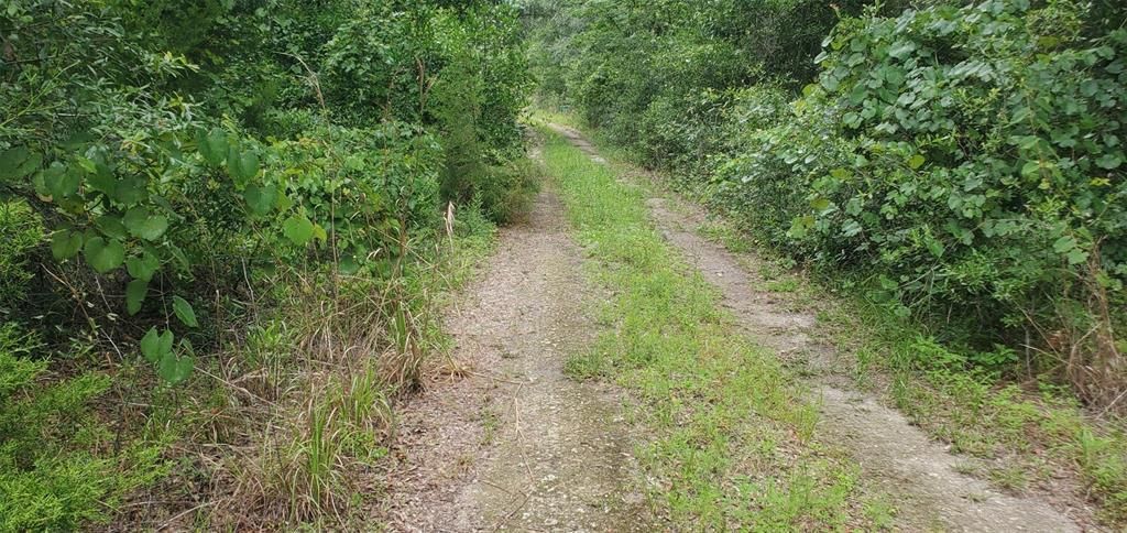 Active With Contract: $8,000 (0.23 acres)