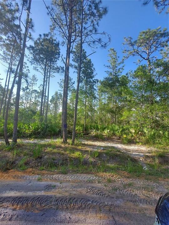 Recently Sold: $95,000 (9.85 acres)