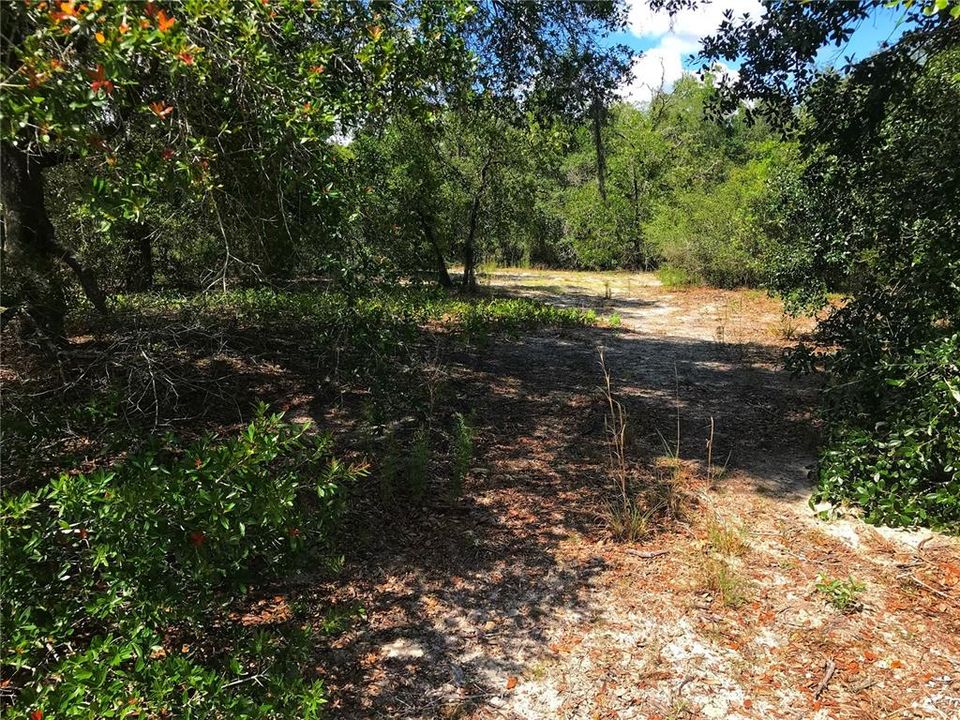 Recently Sold: $49,777 (5.16 acres)