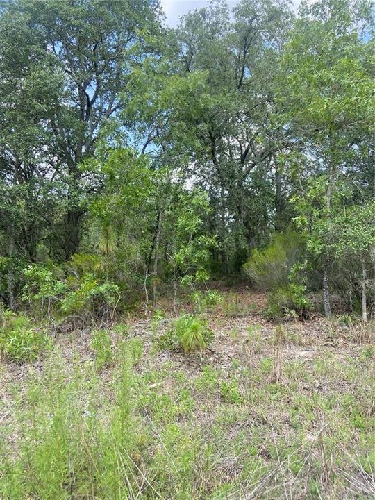 Recently Sold: $14,500 (1.25 acres)