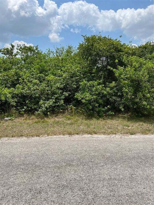 Recently Sold: $17,900 (0.26 acres)