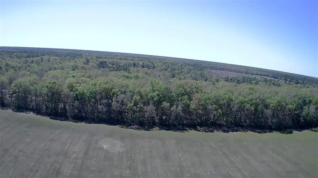 Recently Sold: $125,850 (8.38 acres)
