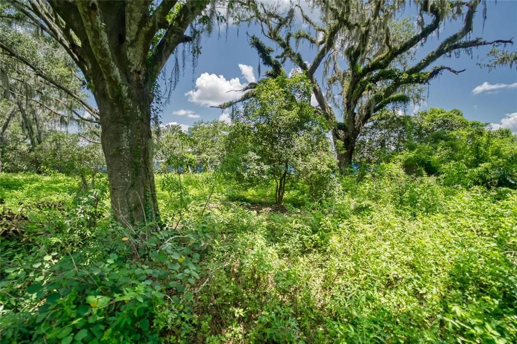 合同活跃: $379,900 (2.37 acres)