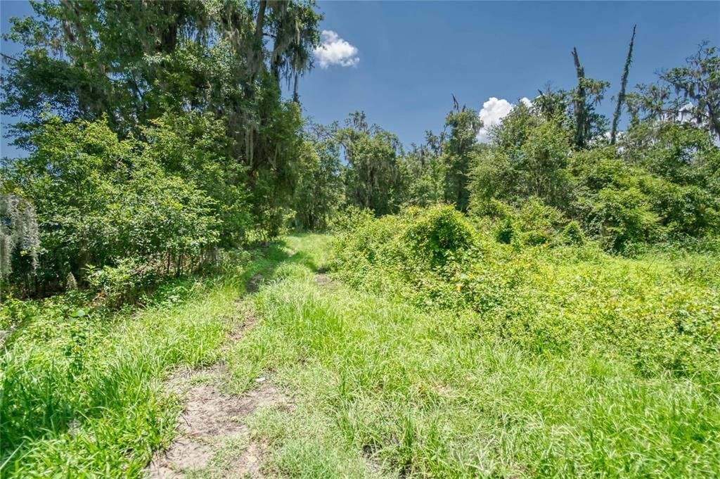 合同活跃: $379,900 (2.37 acres)