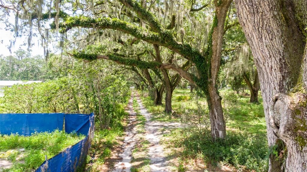 合同活跃: $379,900 (2.37 acres)