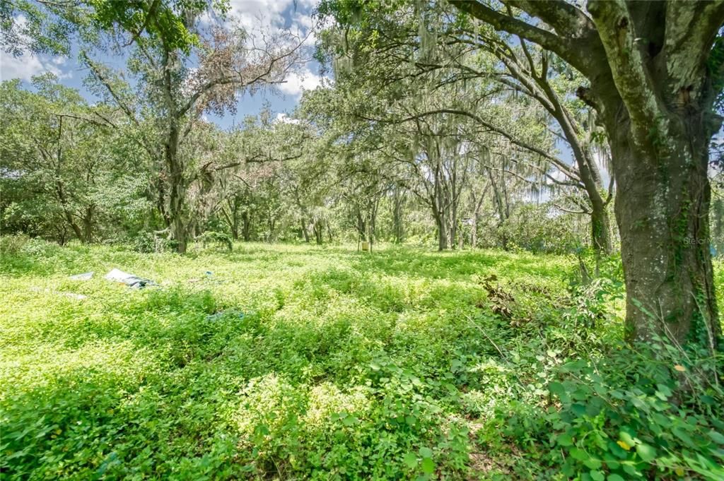 合同活跃: $379,900 (2.37 acres)