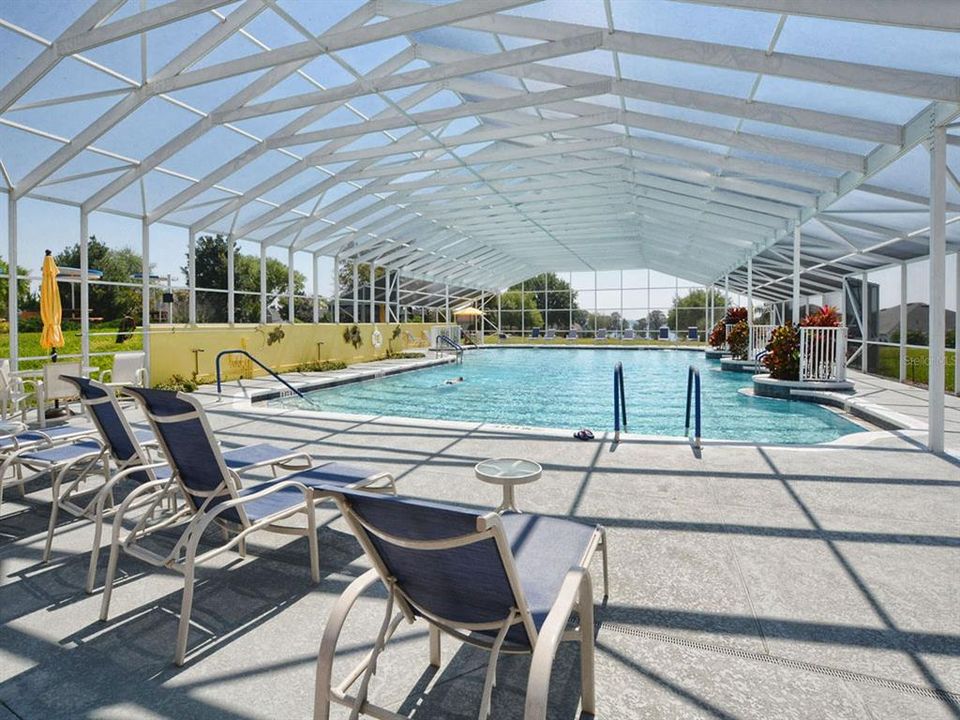 Jr. Olympic sized screened and heated Pool and Spa