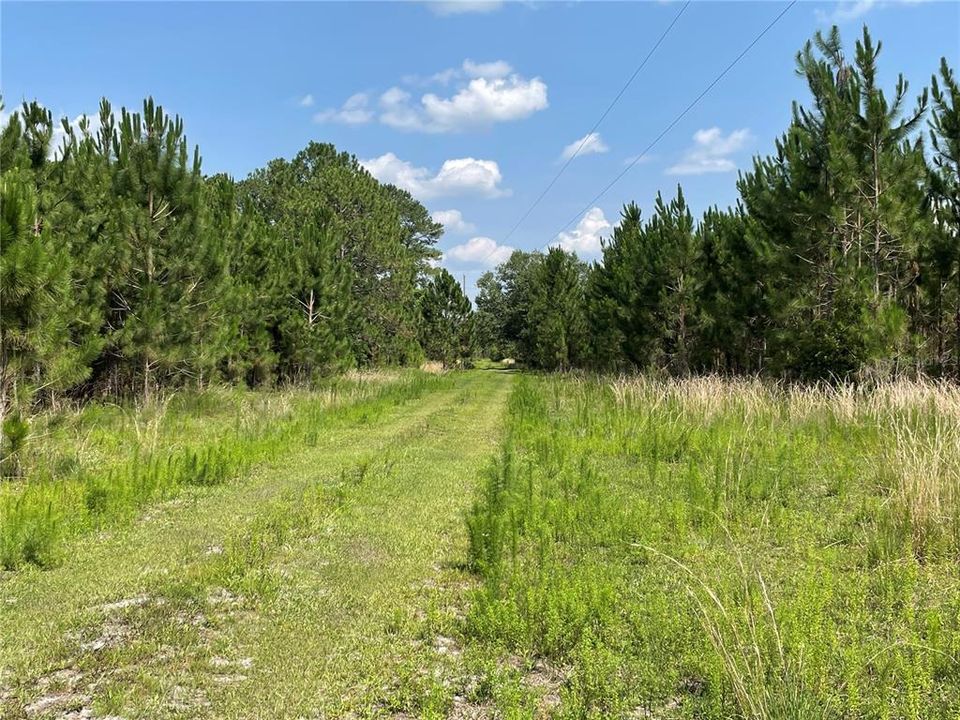 Recently Sold: $469,000 (40.00 acres)