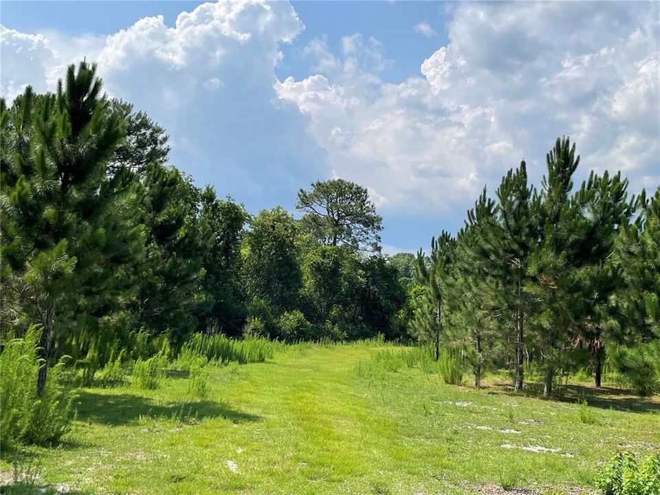 Recently Sold: $469,000 (40.00 acres)