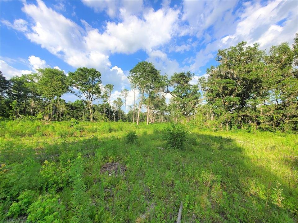 En Venta: $1,171,800 (32.55 acres)