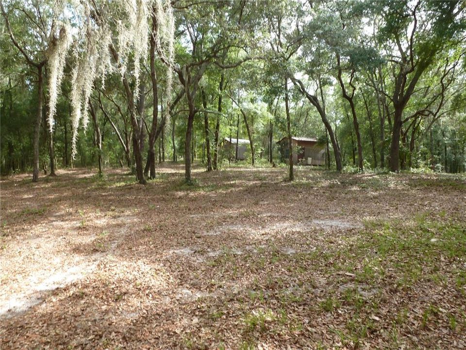 Looking back from lake to property