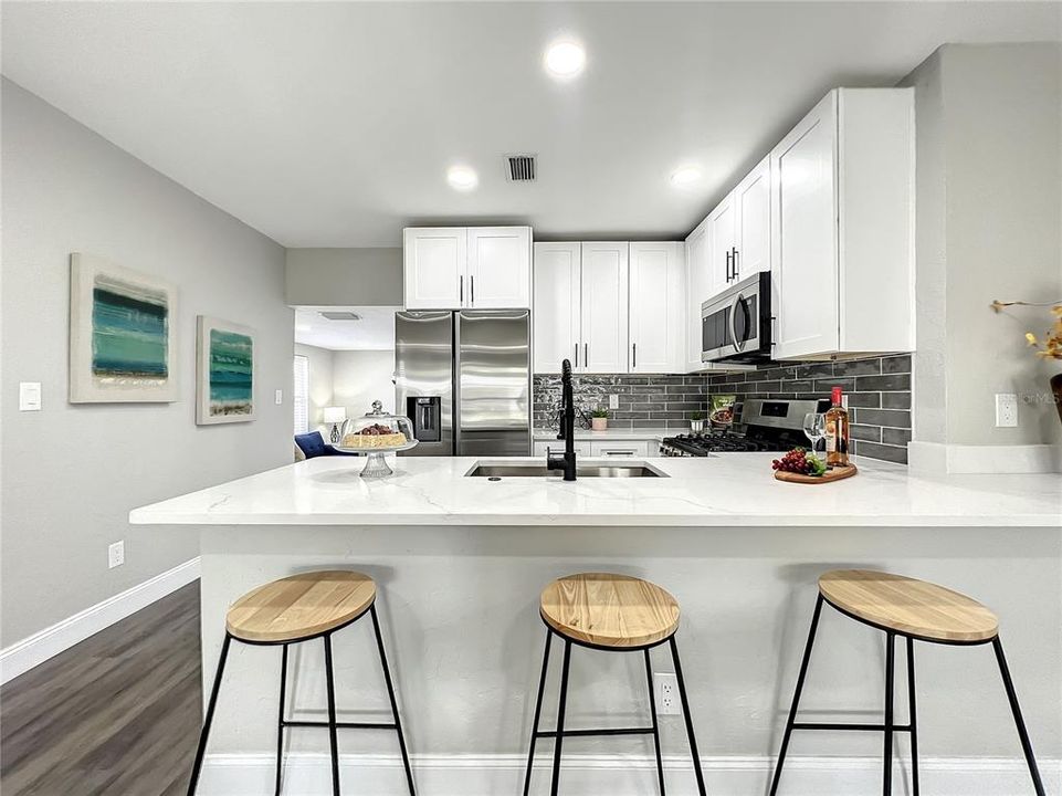 Kitchen with expansive eat at countertop