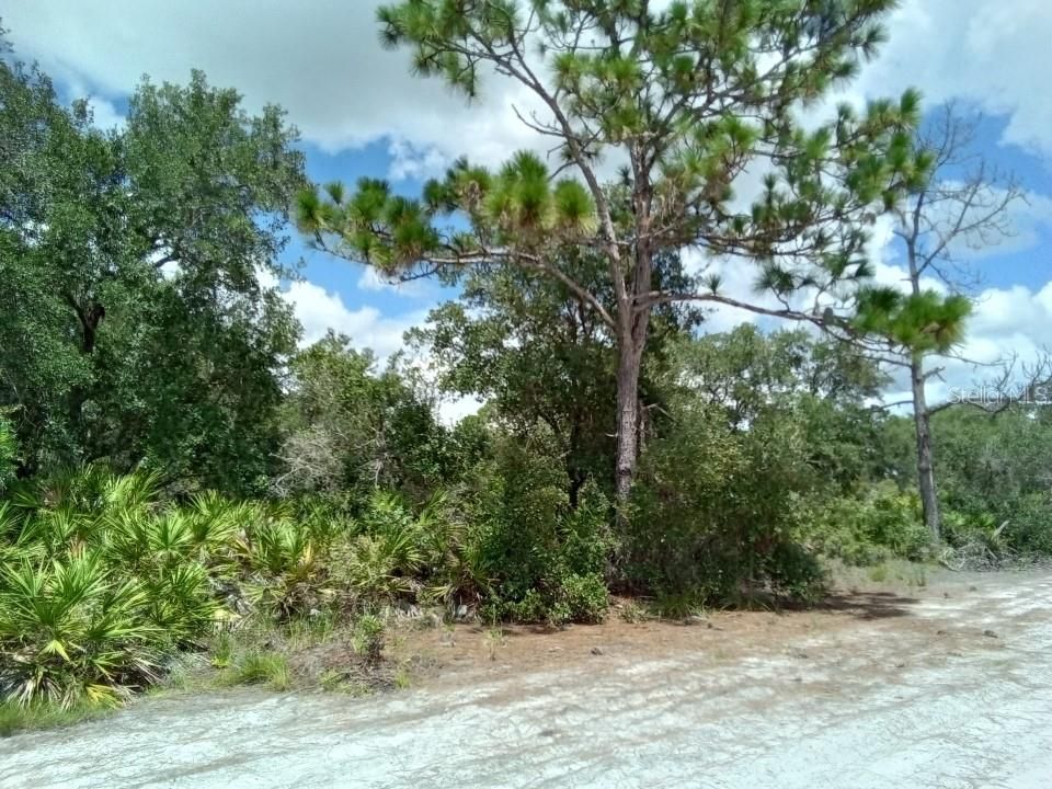Recently Sold: $11,900 (0.50 acres)