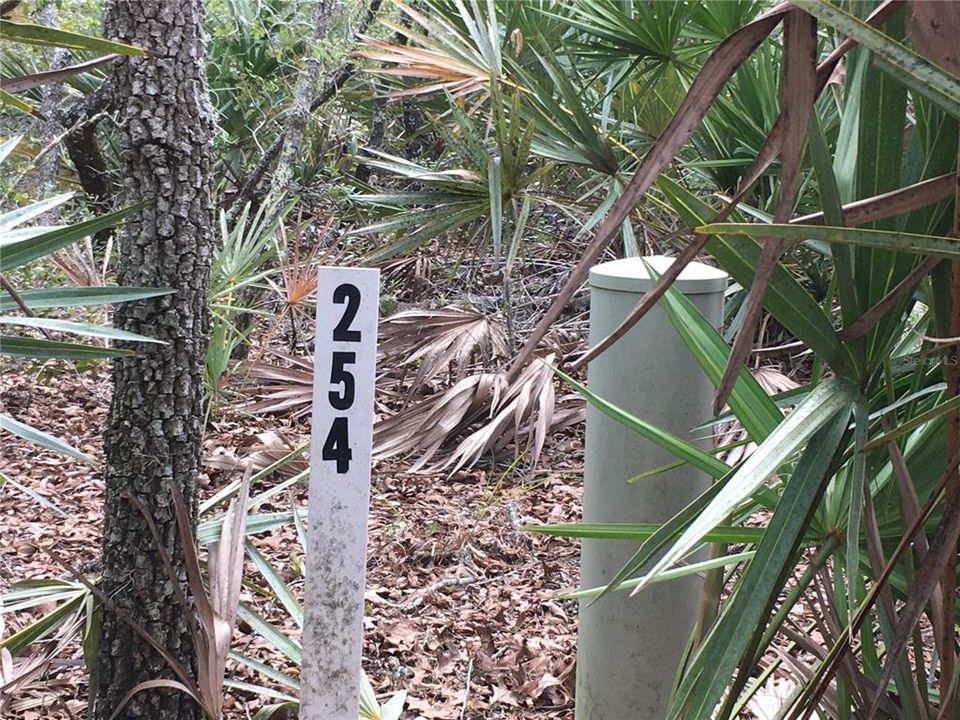 Marker for Beginning of Lot 254 (it's behind the utility pole if looking from the road)