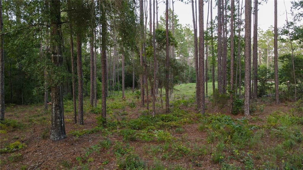 Недавно продано: $89,900 (4.79 acres)