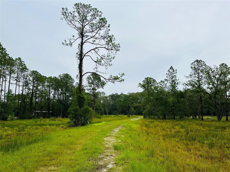 Recently Sold: $300,000 (10.01 acres)