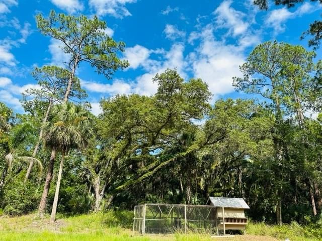 Recently Sold: $300,000 (10.01 acres)