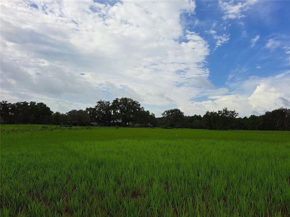 最近售出: $108,000 (1.04 acres)