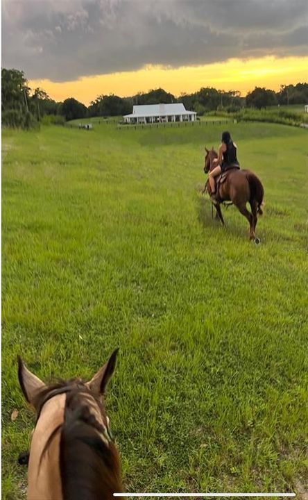 Horse back riding on the property