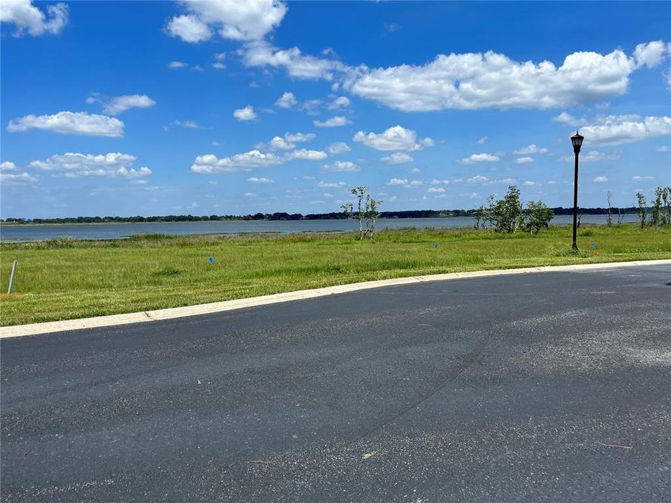 Property line begins by the blue marker to the left of the light pole and end on the left before the short pole.