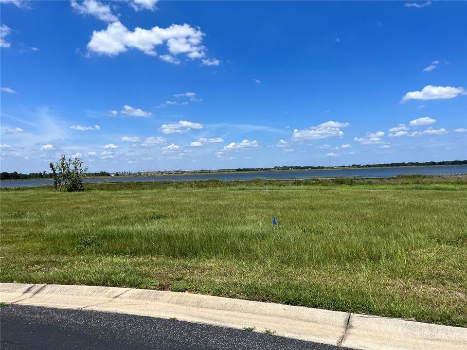 Looking from right to left of the lot.