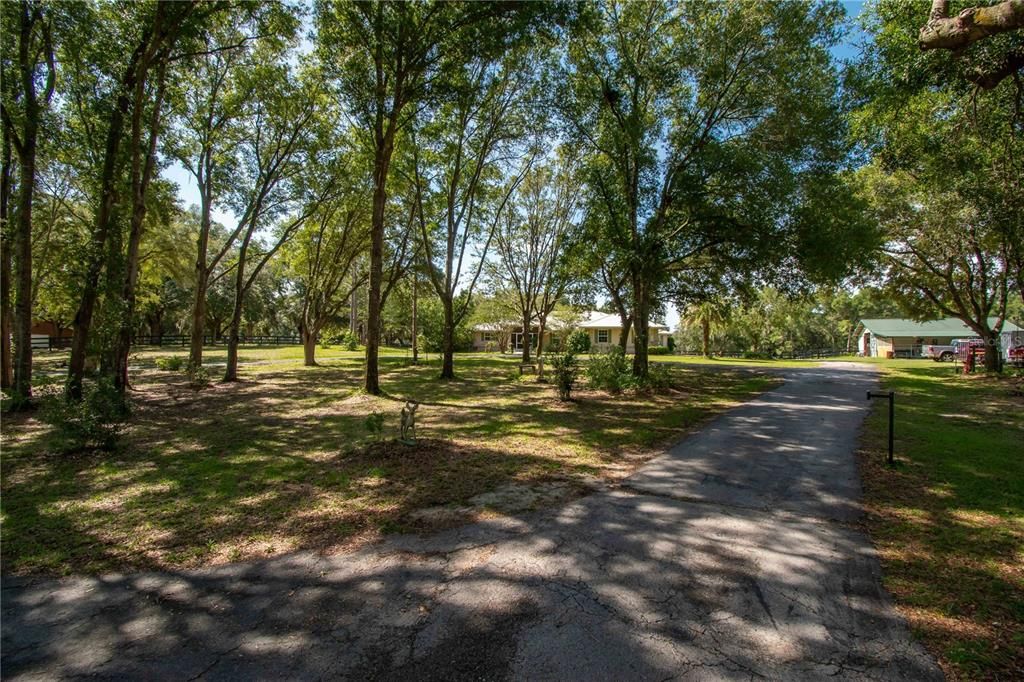 PRIVATE AND SHADED FRONT YARD