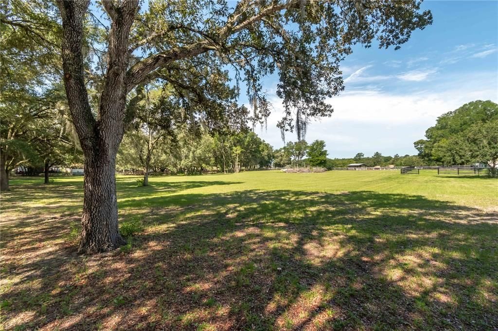 SHADED, EAST SIDE OF BACK PASTURE