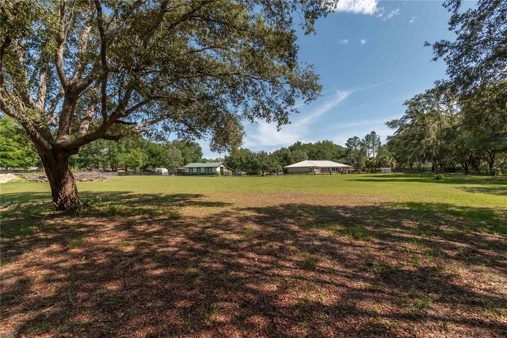 SOUTH SIDE OF SHADED PASTURE