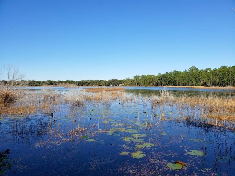 Vendido Recientemente: $499,900 (62.00 acres)