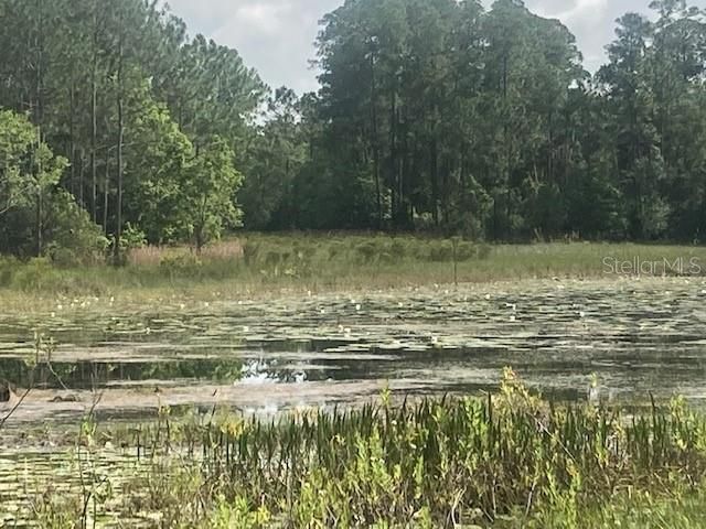 Vendido Recientemente: $1,800,000 (116.00 acres)