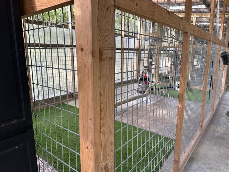 Aviary/ kennels
