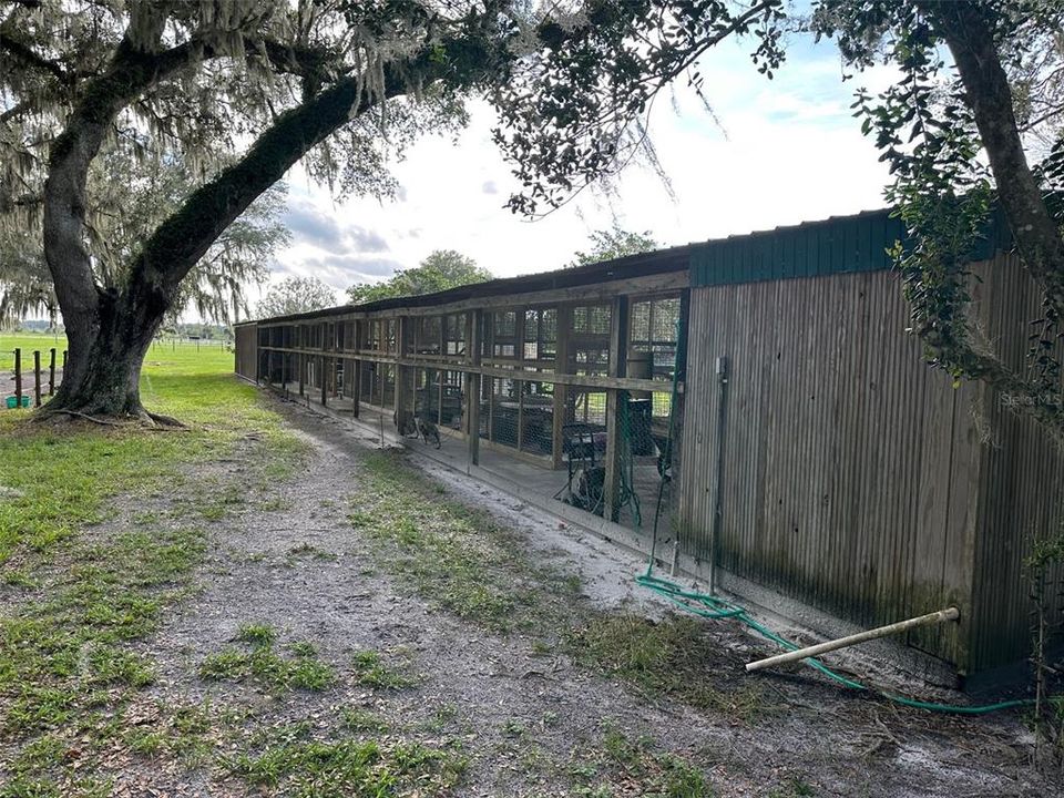 Aviary/ kennels