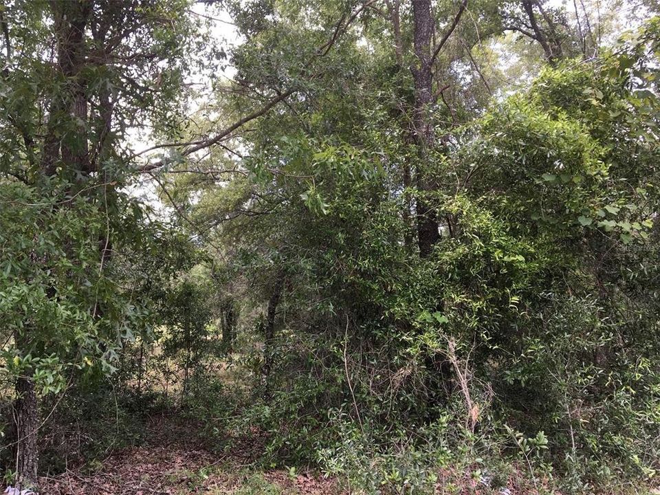 Recently Sold: $18,000 (0.92 acres)