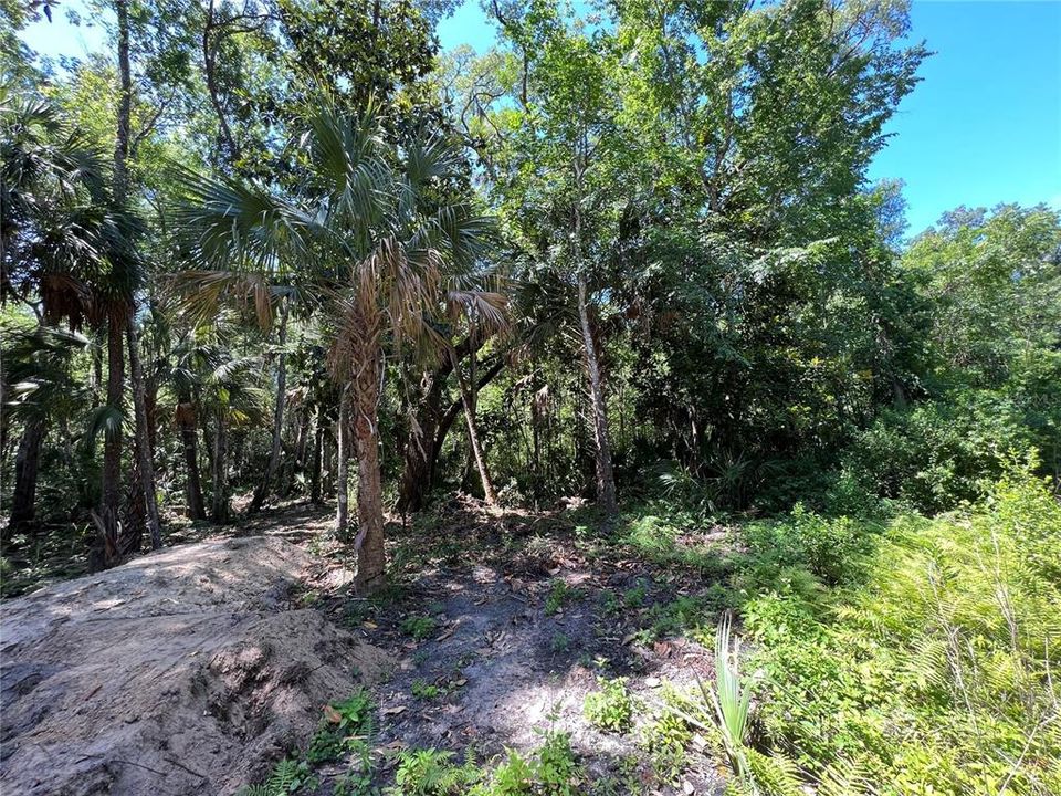 Vendido Recientemente: $26,900 (0.44 acres)