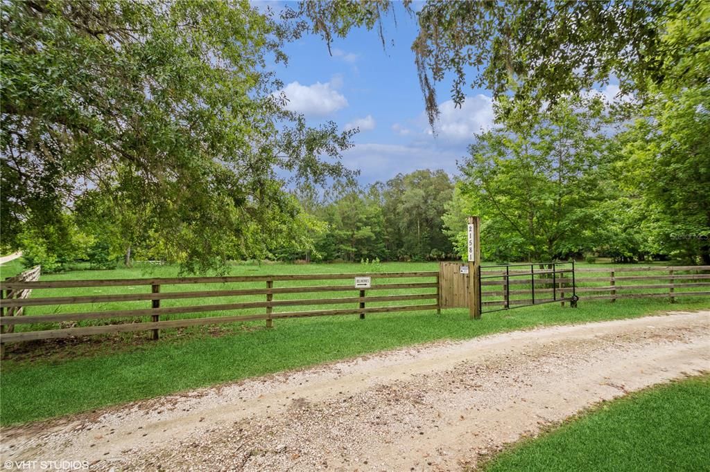 Driveway and Pasture