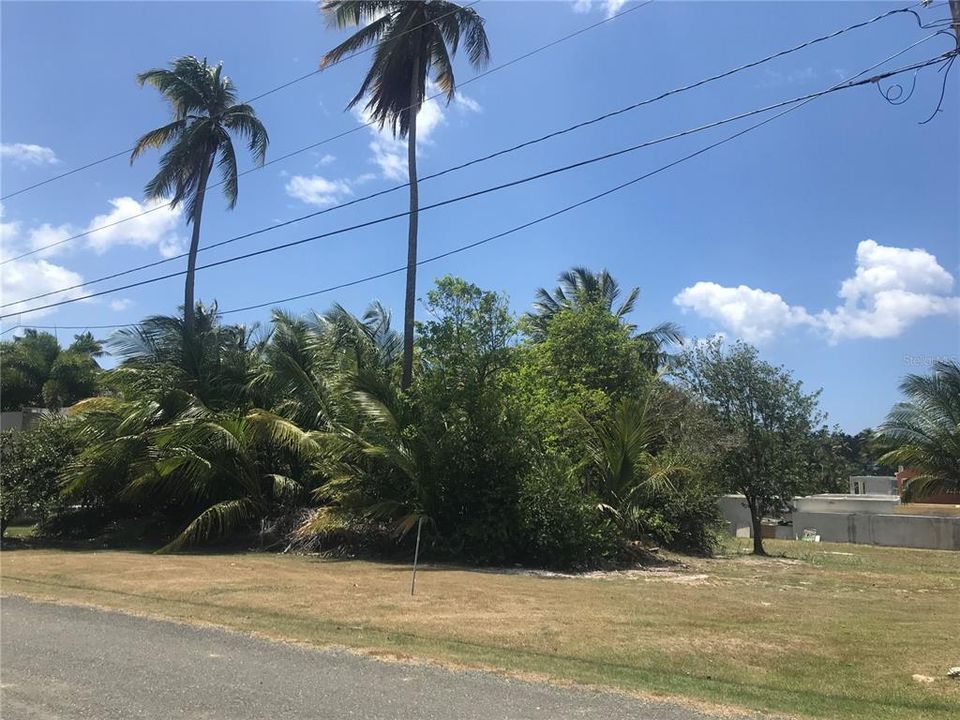 Vendido Recientemente: $125,000 (0.25 acres)