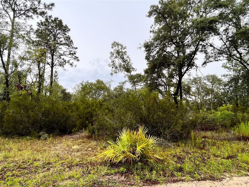 Recently Sold: $28,000 (2.50 acres)