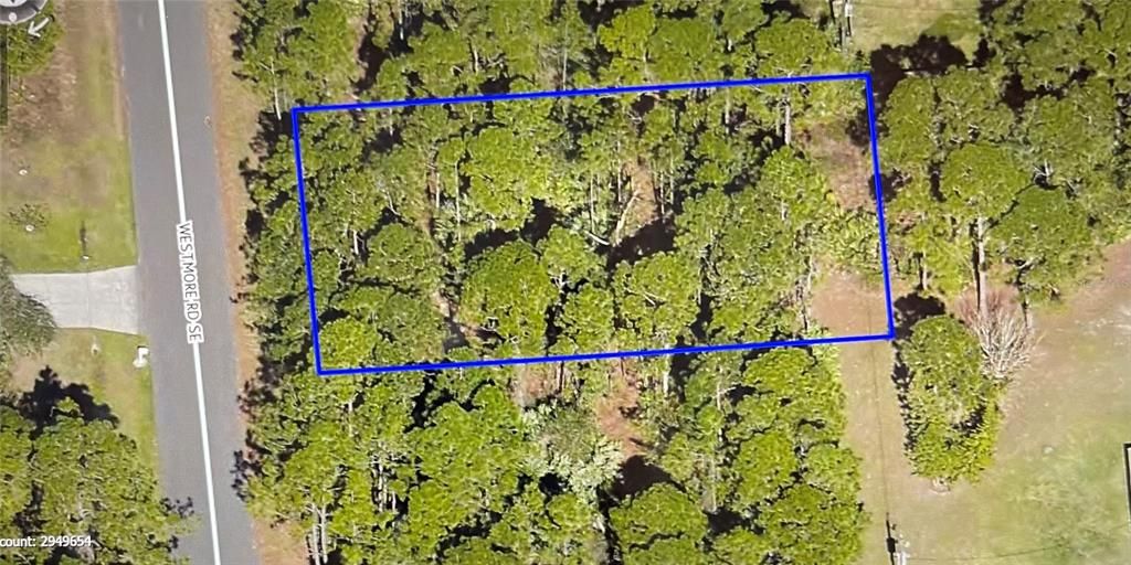 最近售出: $32,500 (0.23 acres)
