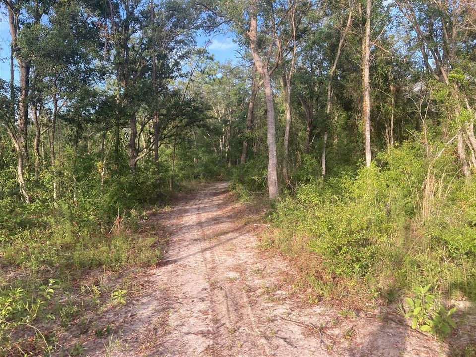 Vendido Recientemente: $249,000 (9.96 acres)