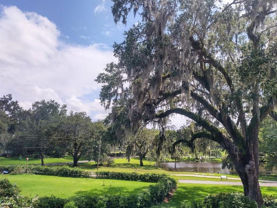 From Upstairs Patio Overlooking Adjoining Lot & Pond/Park