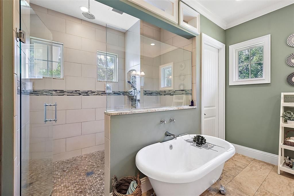 Master Bathroom with Tub and Walk-in Shower