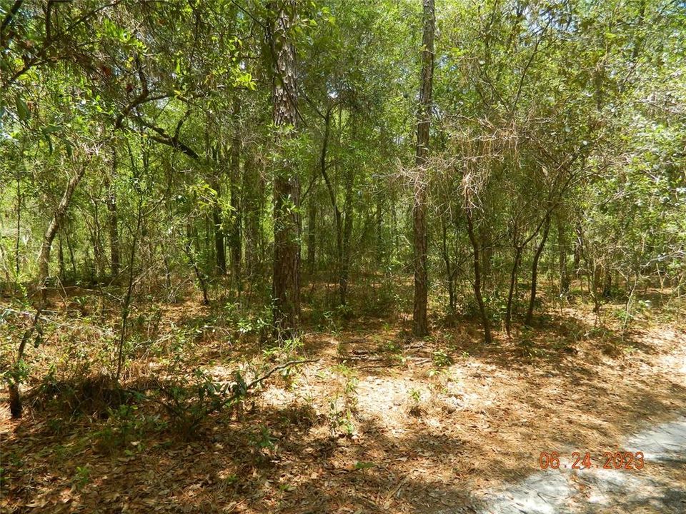 Vendido Recientemente: $30,000 (1.45 acres)