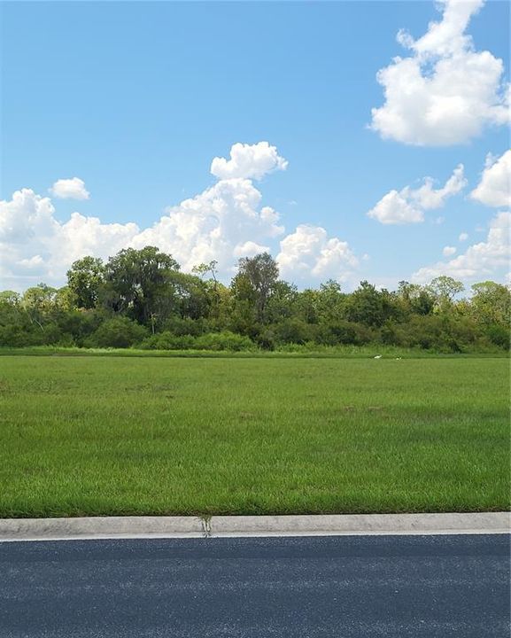 Active With Contract: $105,000 (0.21 acres)