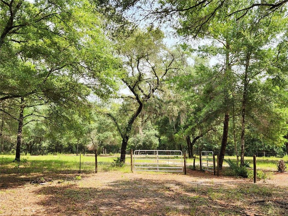 Gate to Back Pasture