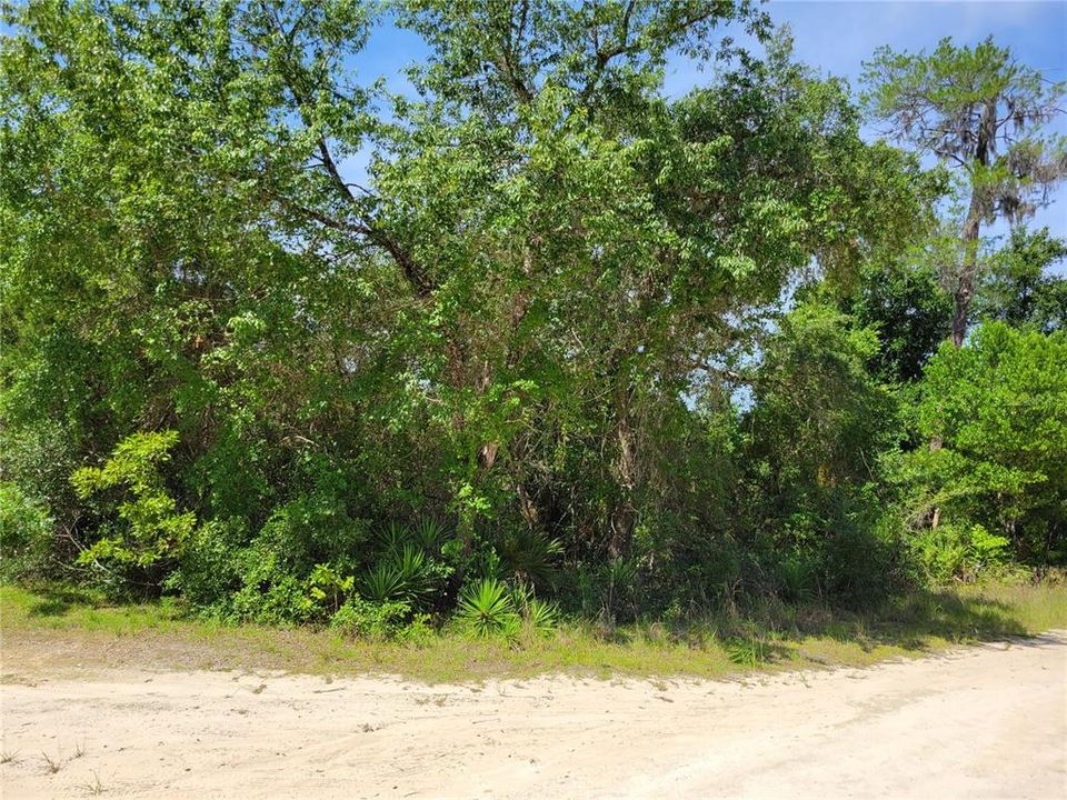 Recently Sold: $13,500 (0.34 acres)